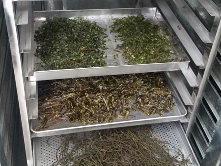 辣椒熱風循環烘箱烘干機